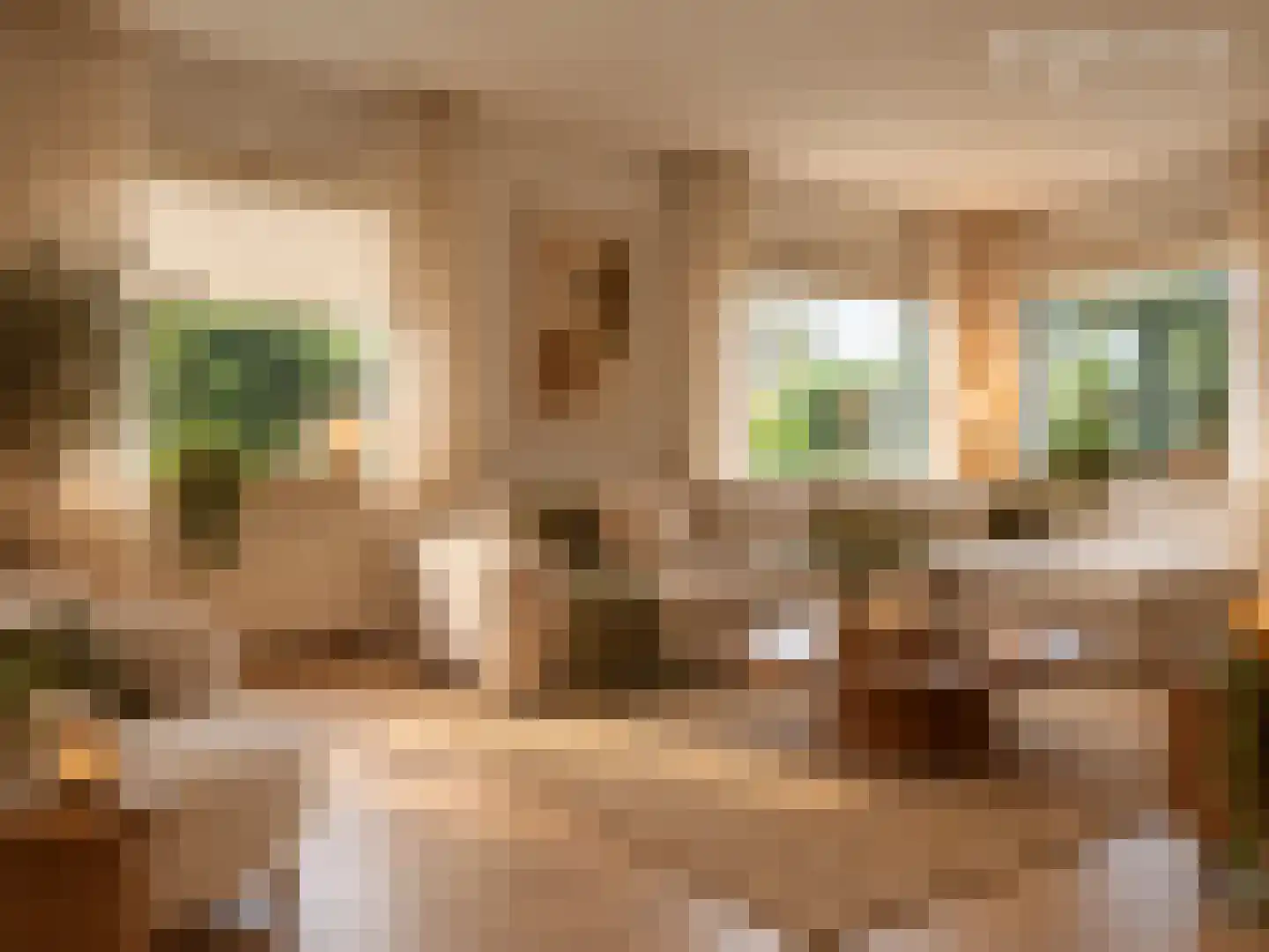 Wester Meeweg 16 Schellinkhout thumbnail 7