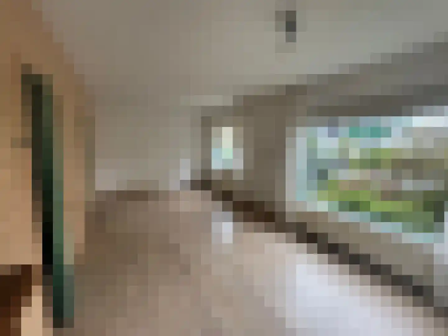 Wester Meeweg 16 Schellinkhout thumbnail 8