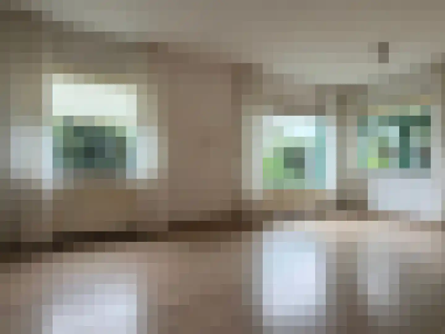 Wester Meeweg 16 Schellinkhout thumbnail 8