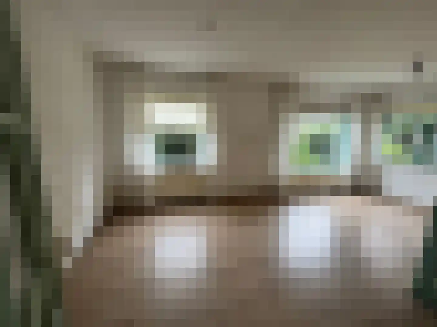 Wester Meeweg 16 Schellinkhout thumbnail 9