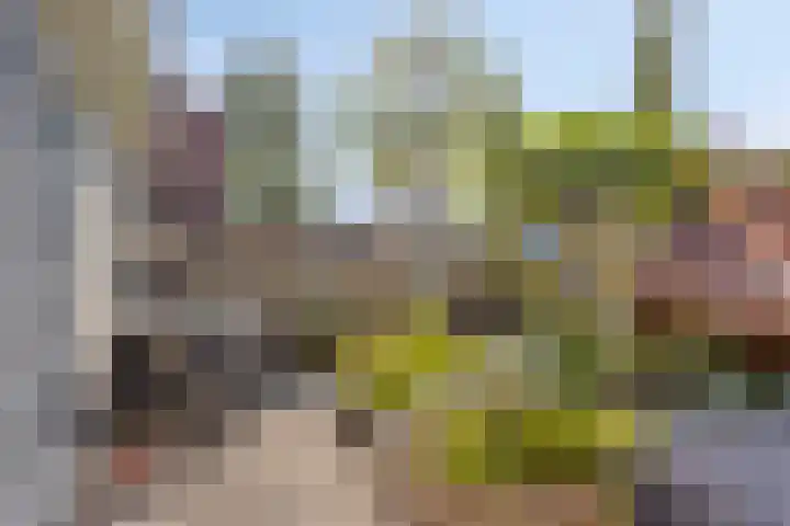 Wester Meeweg 22 Schellinkhout thumbnail 10