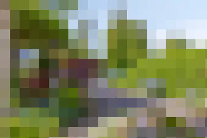 Wester Meeweg 22 Schellinkhout thumbnail 11