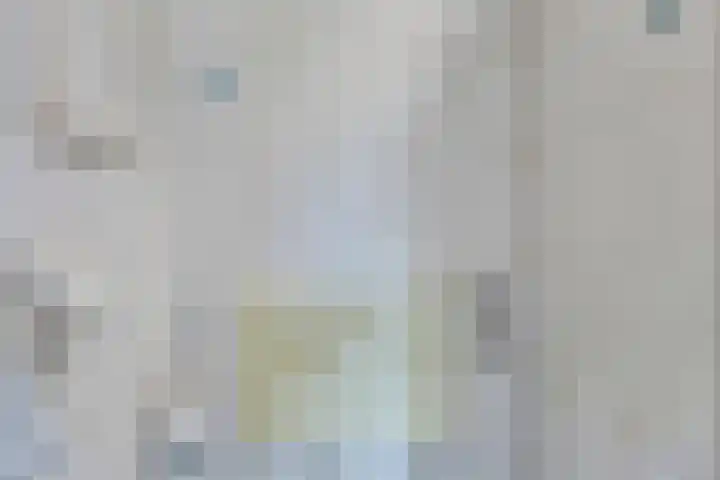Wester Meeweg 22 Schellinkhout thumbnail 13