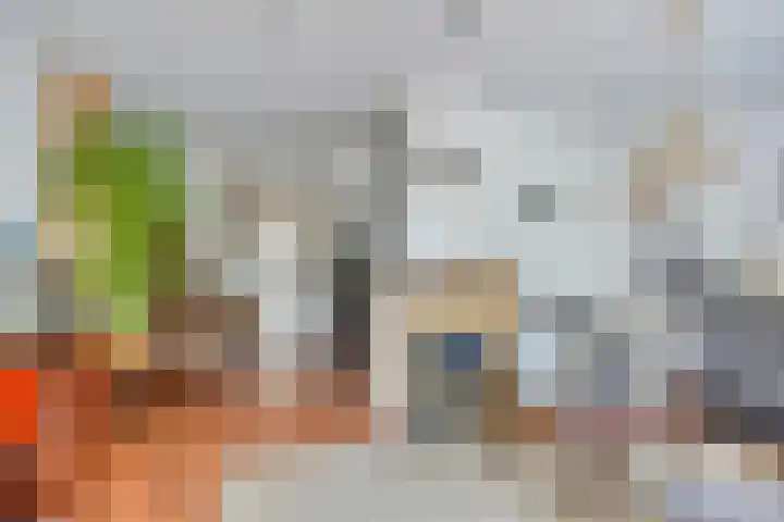 Wester Meeweg 22 Schellinkhout thumbnail 14