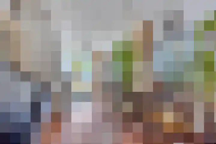 Wester Meeweg 22 Schellinkhout thumbnail 18