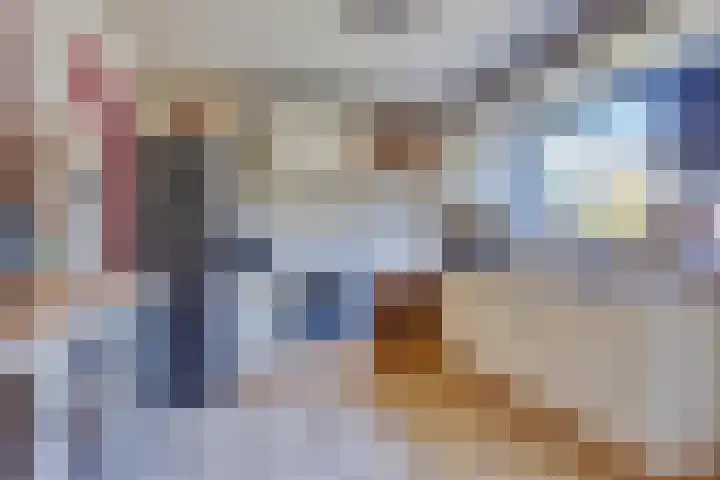 Wester Meeweg 22 Schellinkhout thumbnail 20
