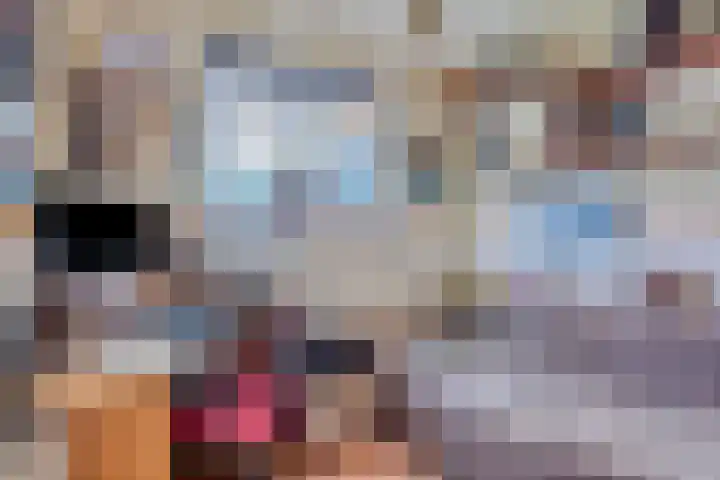 Wester Meeweg 22 Schellinkhout thumbnail 23