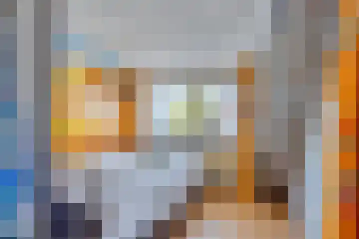 Wester Meeweg 22 Schellinkhout thumbnail 26