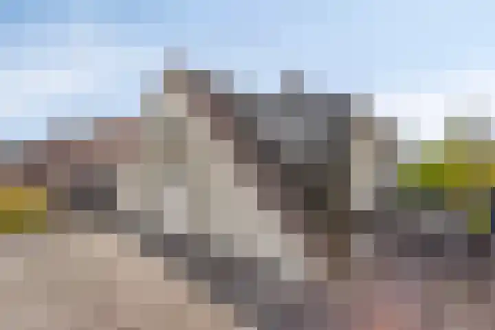 Wester Meeweg 22 Schellinkhout thumbnail 33