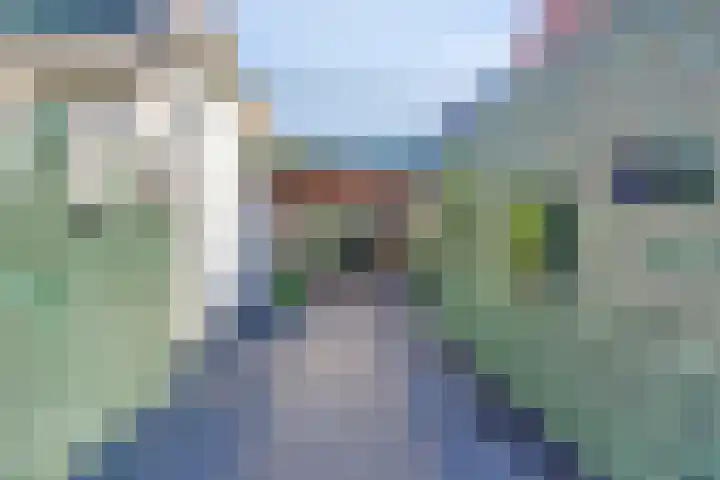 Wester Meeweg 22 Schellinkhout thumbnail 6