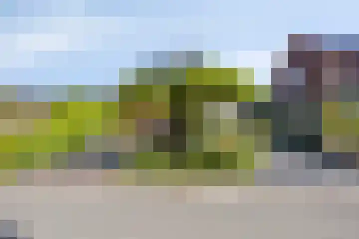 Wester Meeweg 22 Schellinkhout thumbnail 8