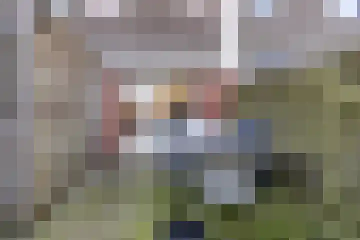Wester-omwei 79 A Hurdegaryp thumbnail 5