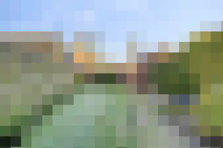 Wester-omwei 79 A Hurdegaryp thumbnail 6