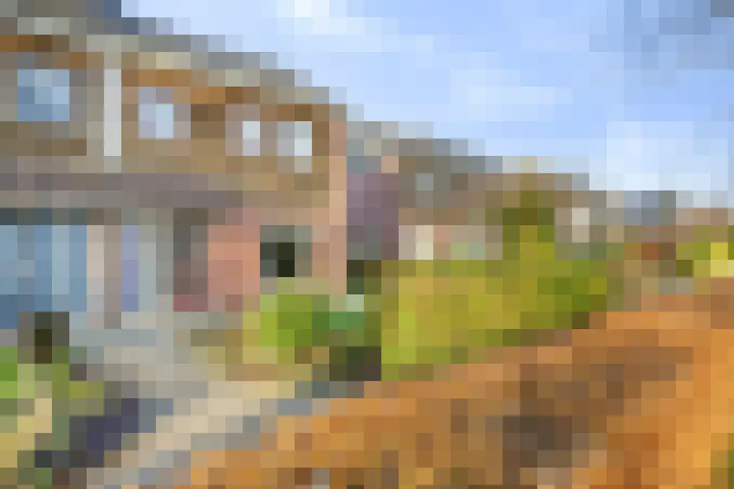 Wester-omwei 79 A Hurdegaryp thumbnail 8