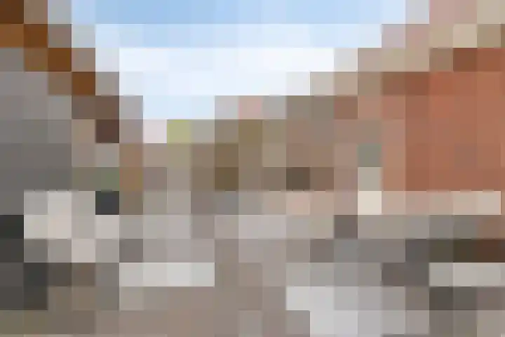 Wester Vlaerdinge 16 Heerhugowaard thumbnail 37