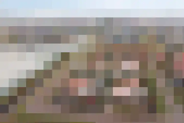 Wester Vlaerdinge 16 Heerhugowaard thumbnail 40