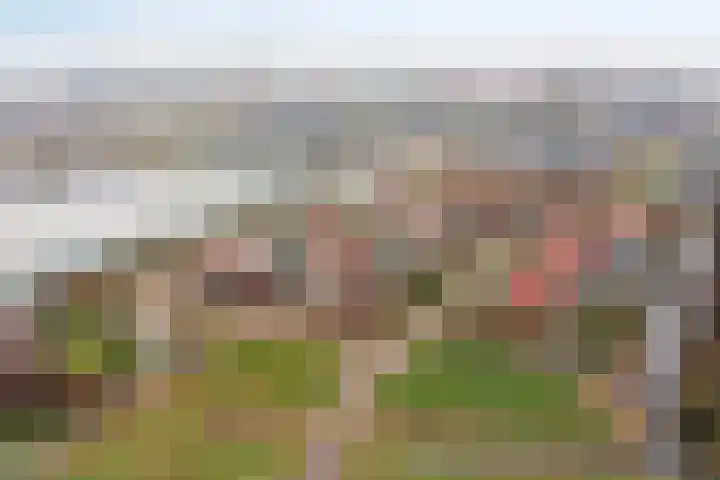 Wester Vlaerdinge 16 Heerhugowaard thumbnail 41