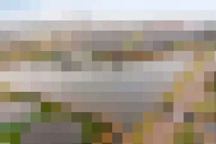 Wester Vlaerdinge 16 Heerhugowaard thumbnail 45