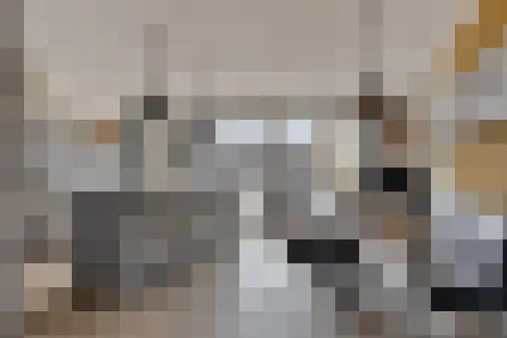 Wester Vlaerdinge 16 Heerhugowaard thumbnail 7