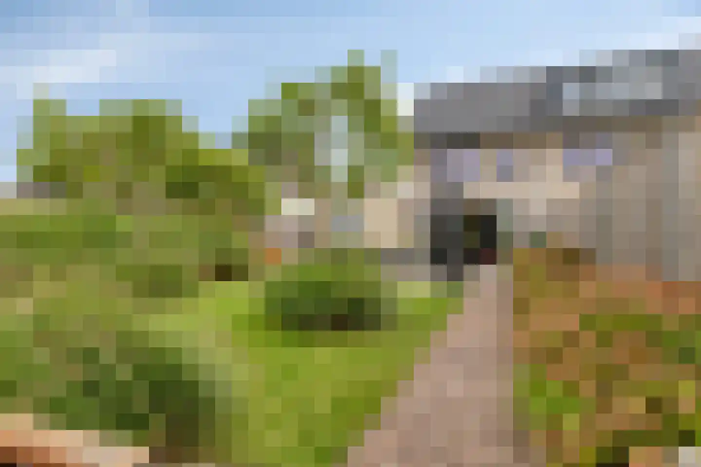 Westerakker 21 Heerhugowaard thumbnail 25