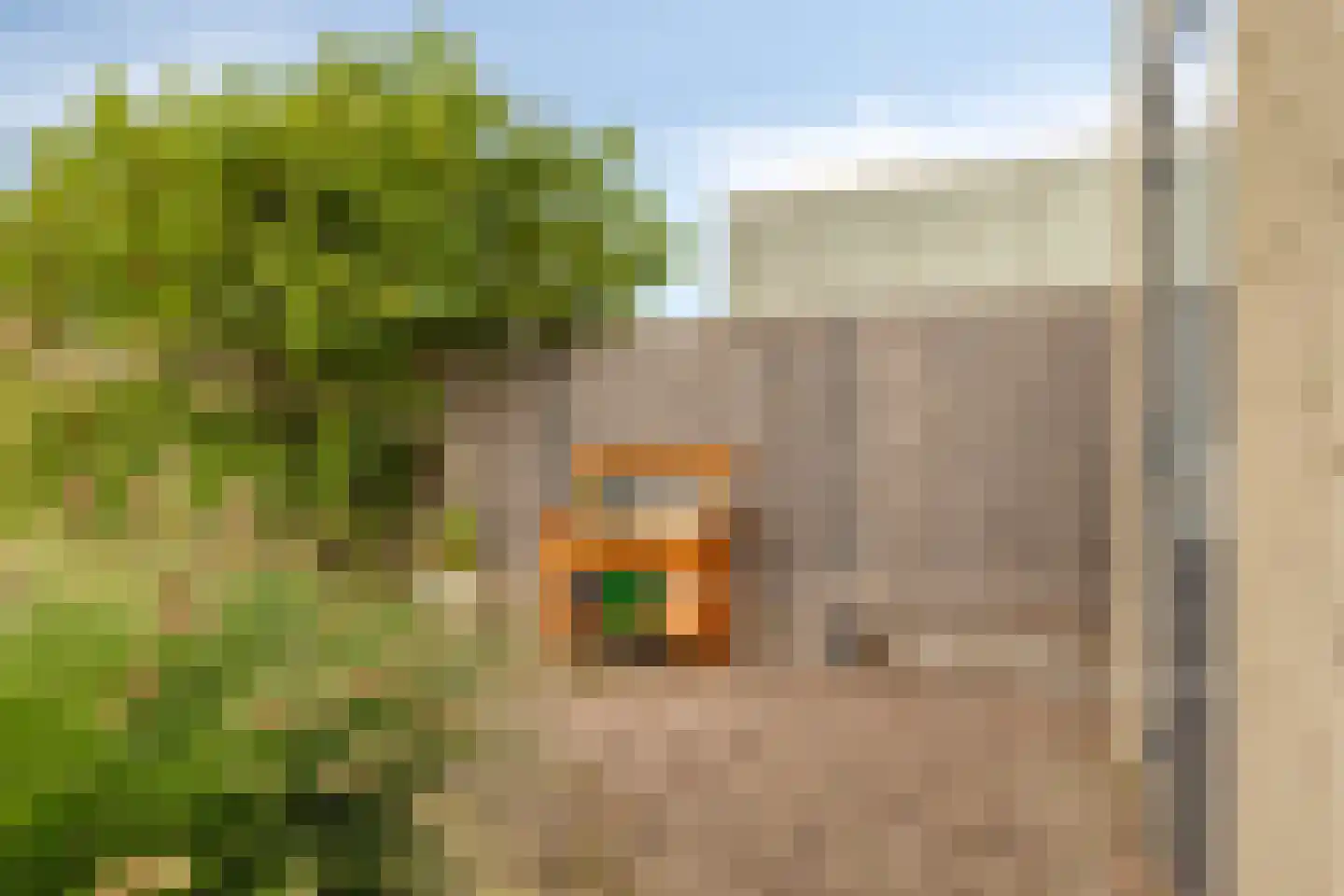 Westerakker 21 Heerhugowaard thumbnail 29