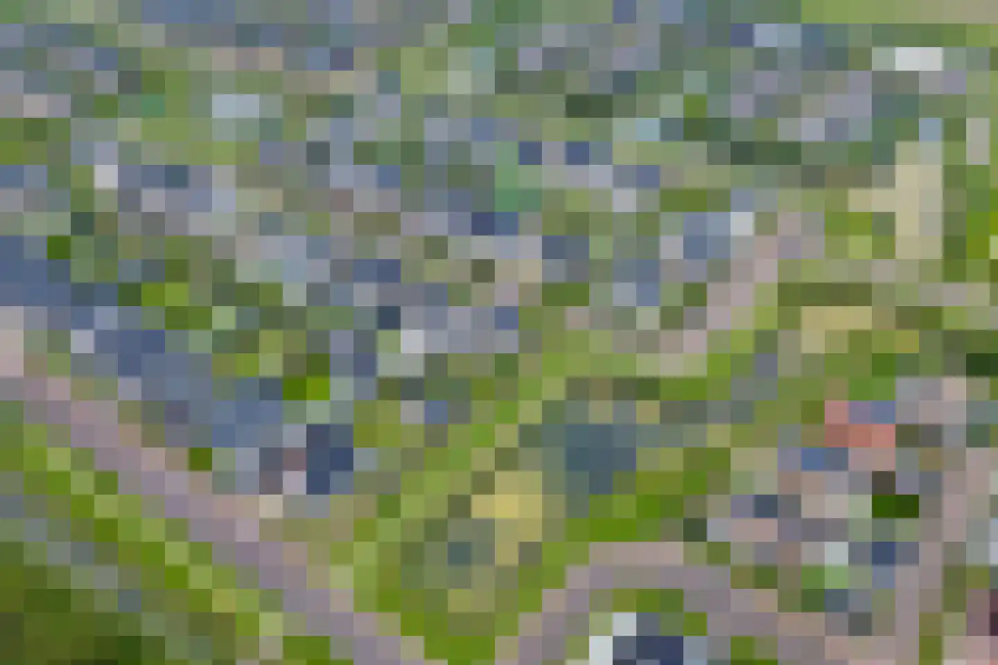 Westerakker 21 Heerhugowaard thumbnail 6