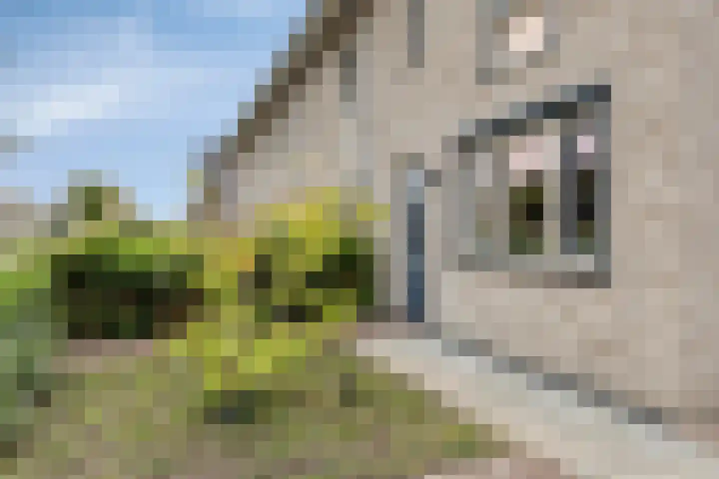 Westerakker 21 Heerhugowaard thumbnail 8