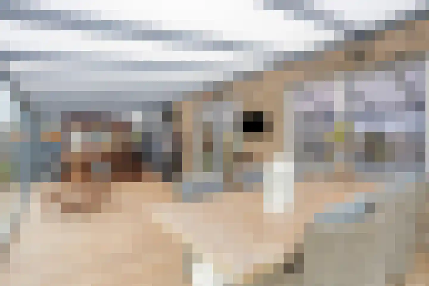 Westerakker 8 Heerhugowaard thumbnail 27