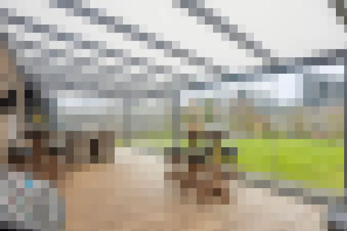 Westerakker 8 Heerhugowaard thumbnail 29