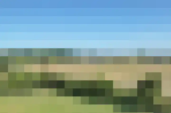 Westerbaan 18 Noordwijk thumbnail 33