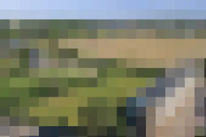Westerbaan 18 Noordwijk thumbnail 39