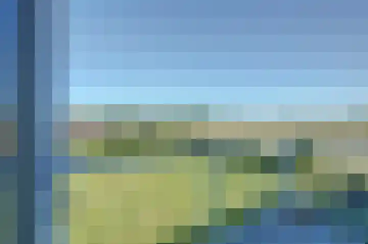 Westerbaan 18 Noordwijk thumbnail 5