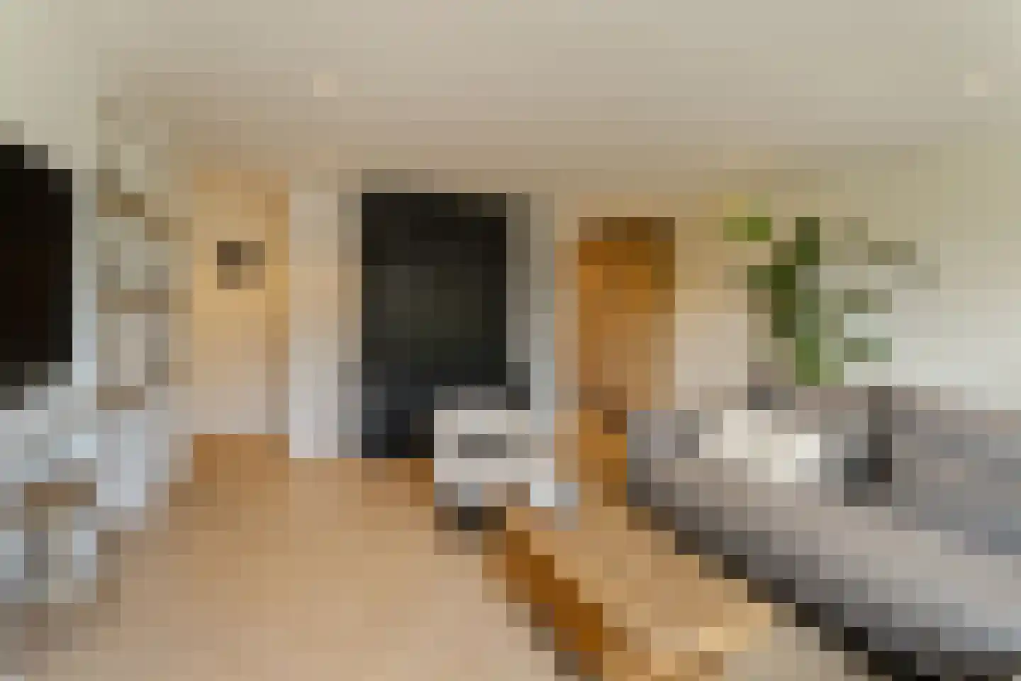 Westerbaan 30 Noordwijk thumbnail 17