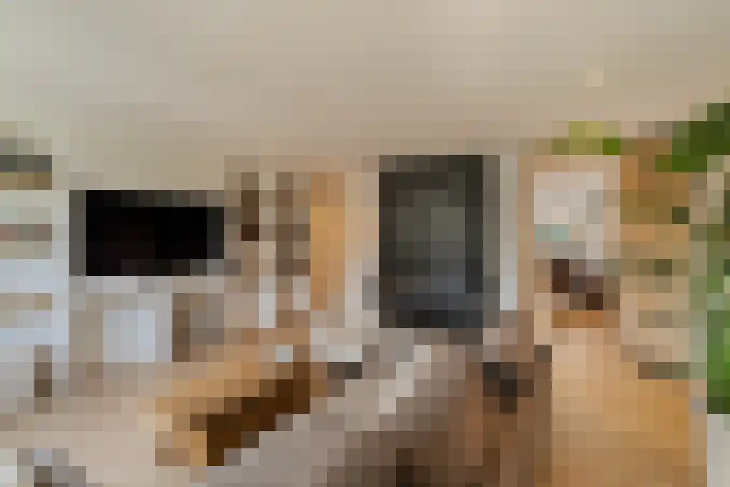 Westerbaan 30 Noordwijk thumbnail 18