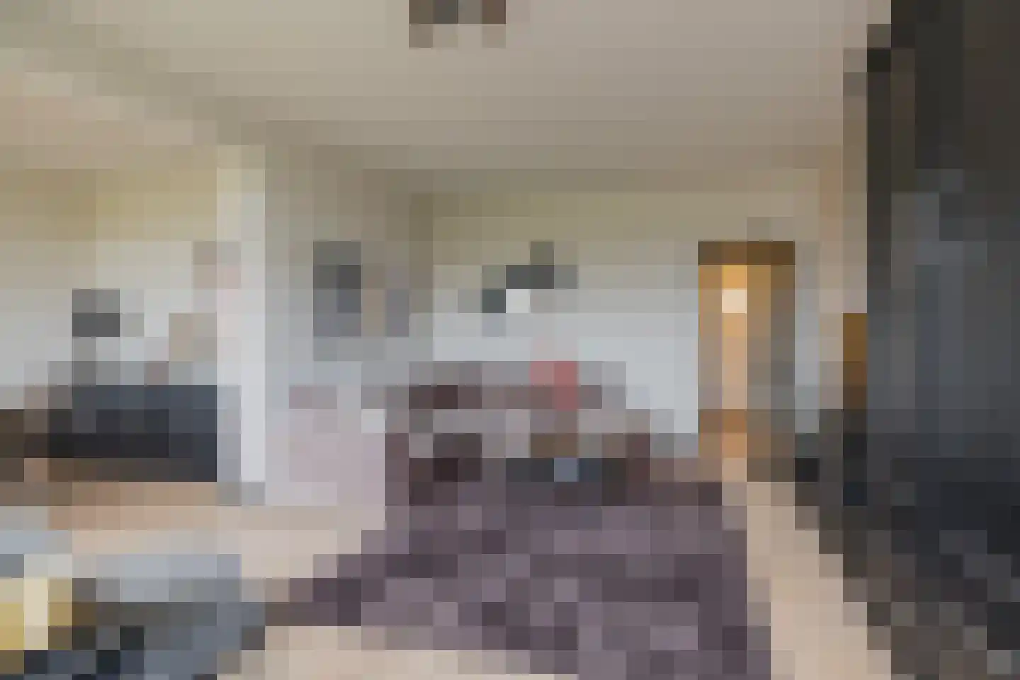 Westerbaan 5 Noordwijk thumbnail 11