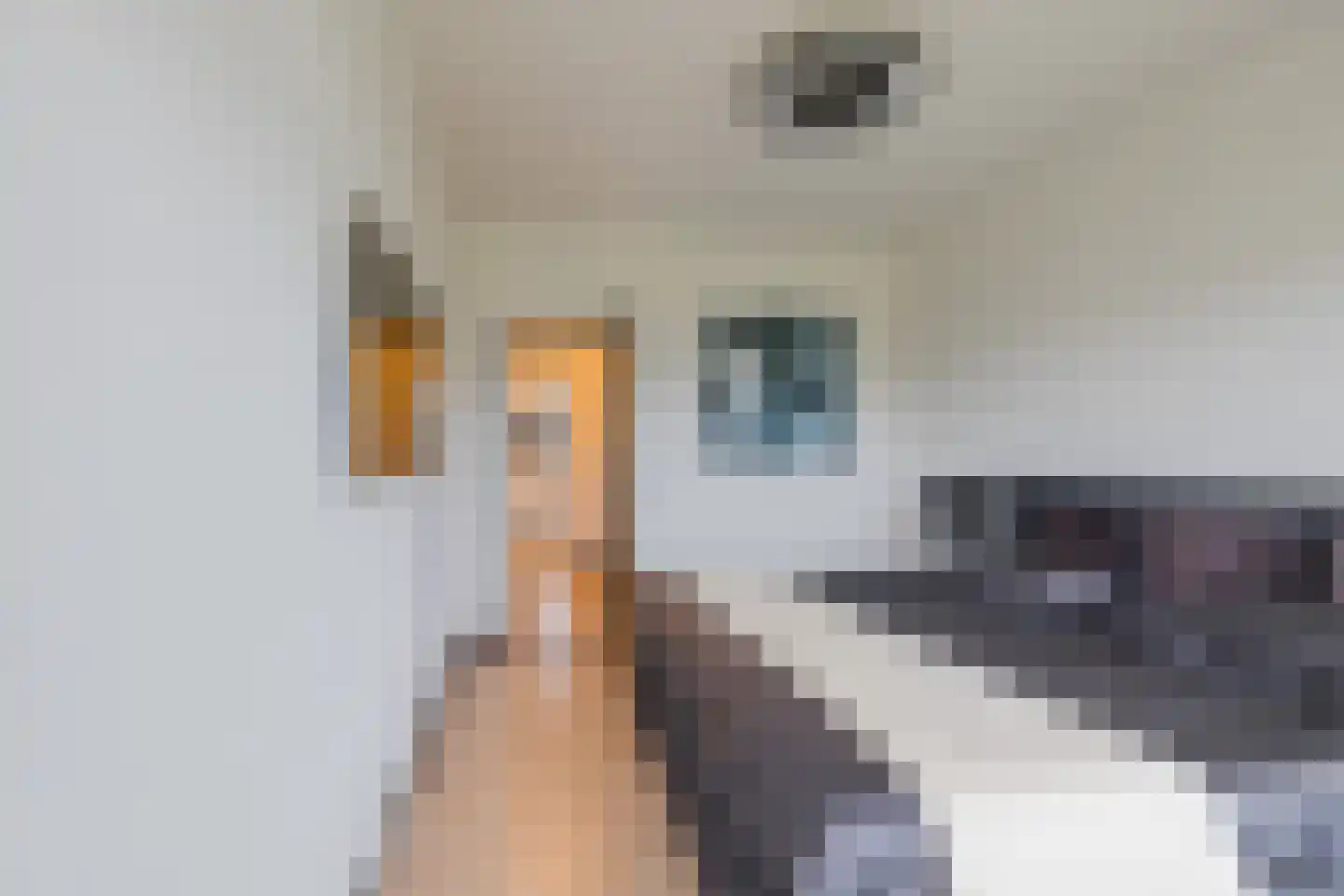 Westerbaan 5 Noordwijk thumbnail 20