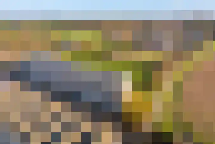 Westerbaan 5 Noordwijk thumbnail 4