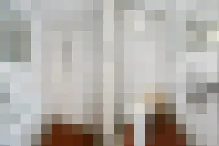Westerbaenstraat 181 Den Haag thumbnail 6
