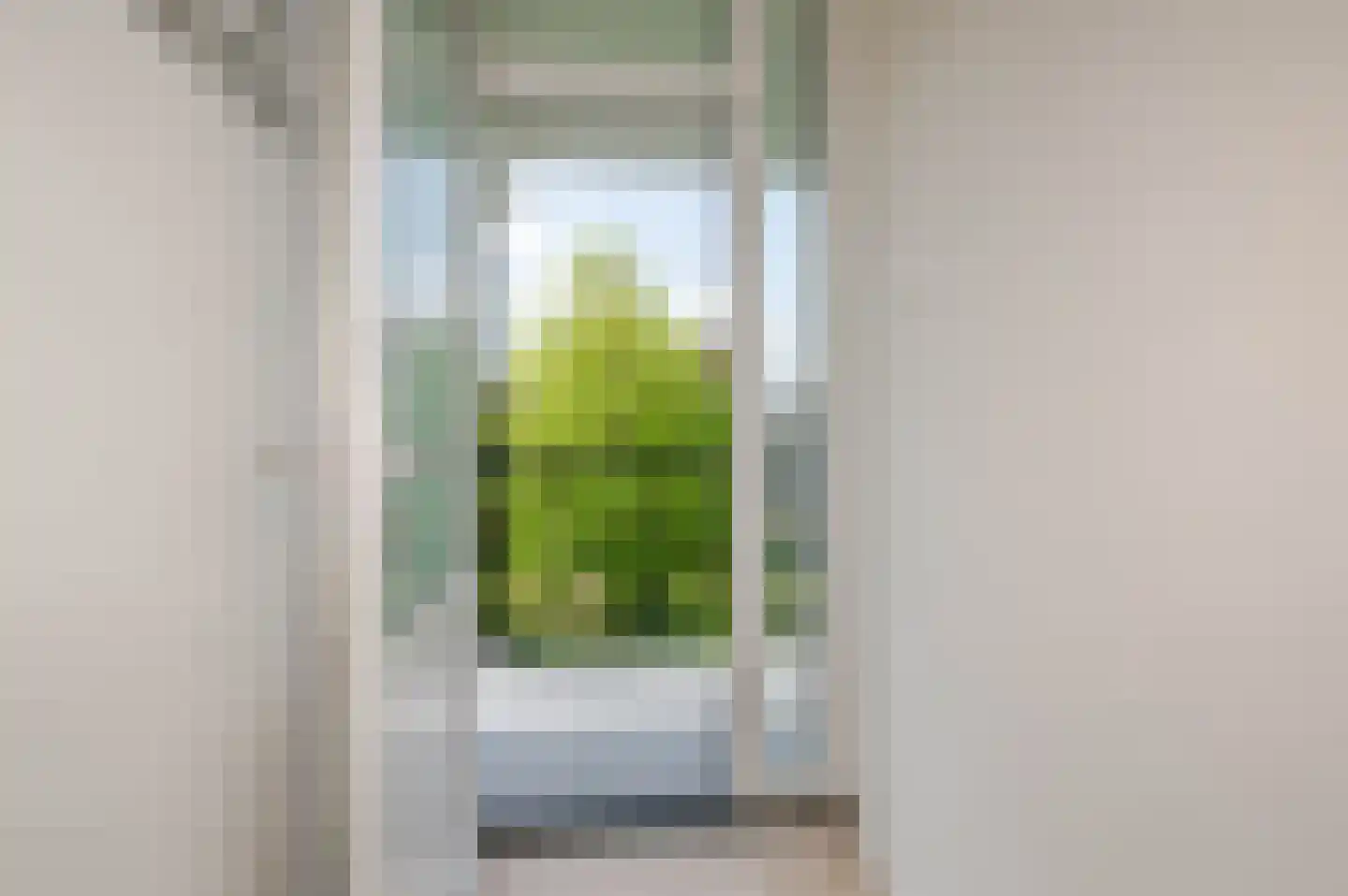 Westerbaenstraat 224 Den Haag thumbnail 32