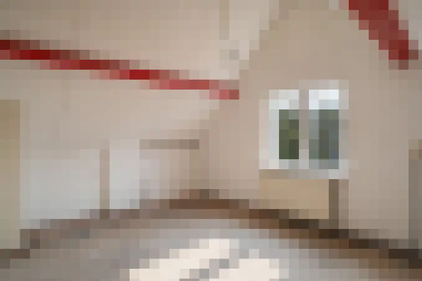 Westerbaenstraat 32 Den Haag thumbnail 25