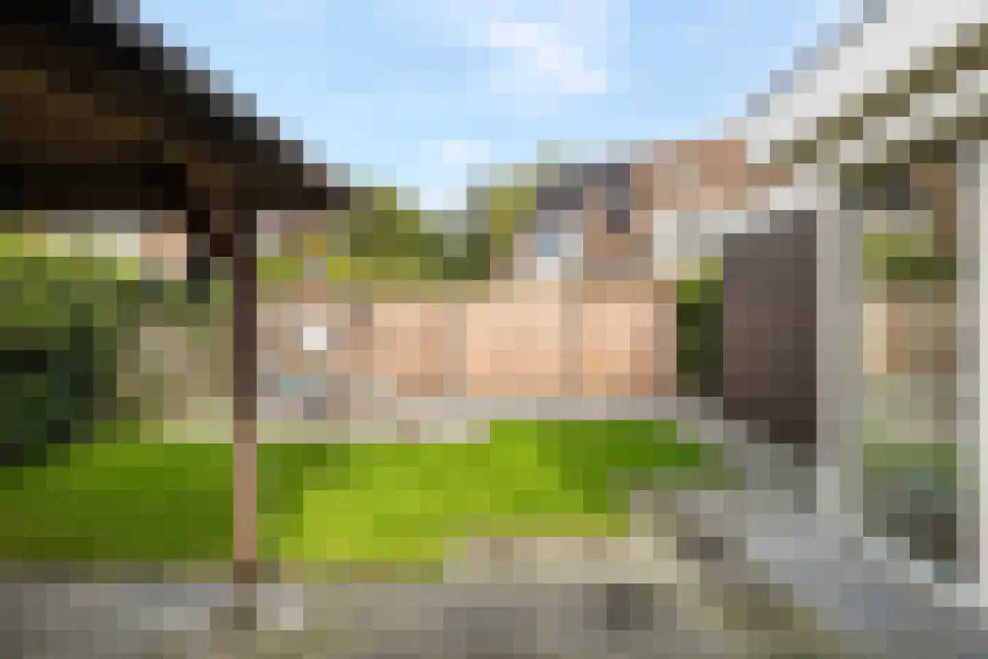 Westerbeek 7 Schoonebeek thumbnail 13