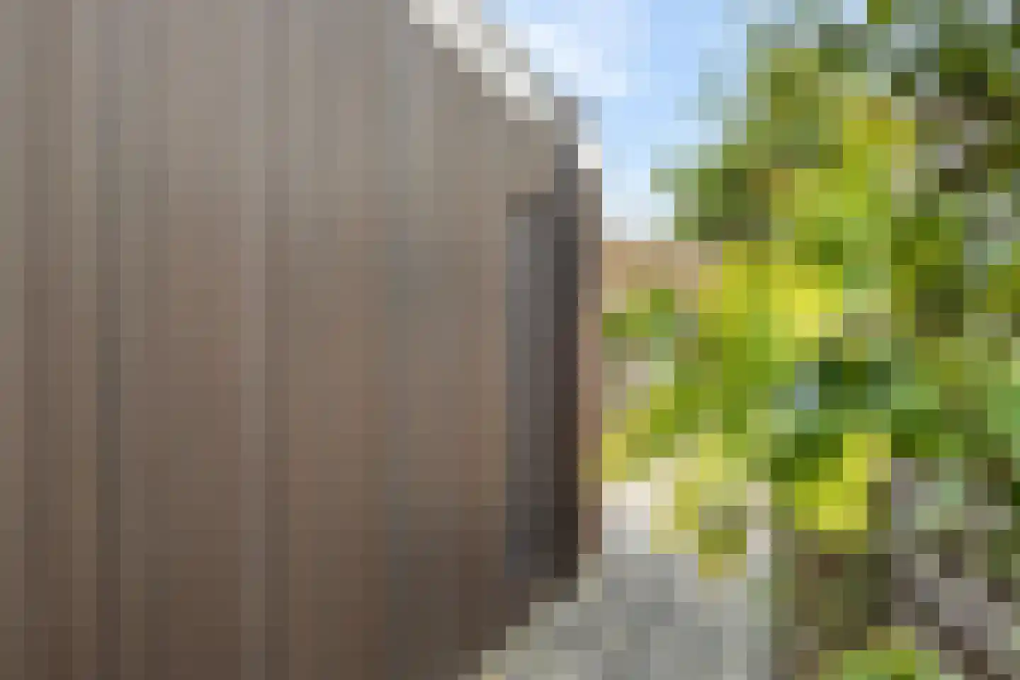Westerbeek 7 Schoonebeek thumbnail 16