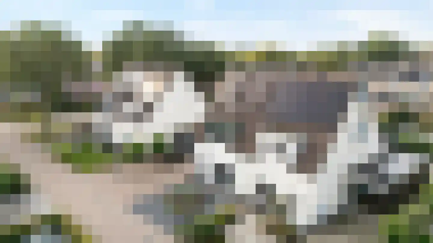 Westerbeek 7 Schoonebeek thumbnail 46