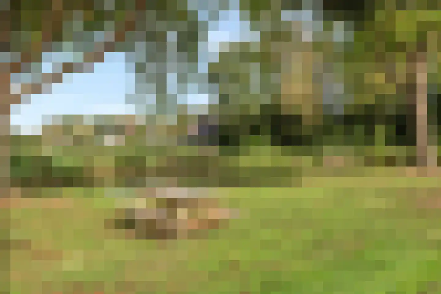 Westerbeek 7 Schoonebeek thumbnail 49