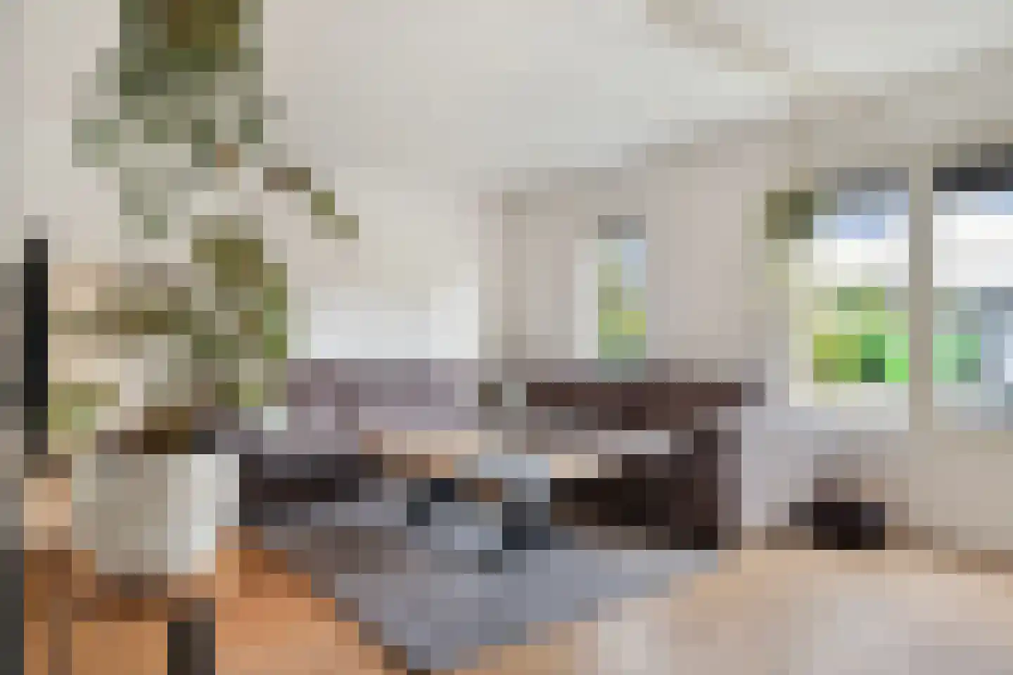 Westerbeek 7 Schoonebeek thumbnail 6