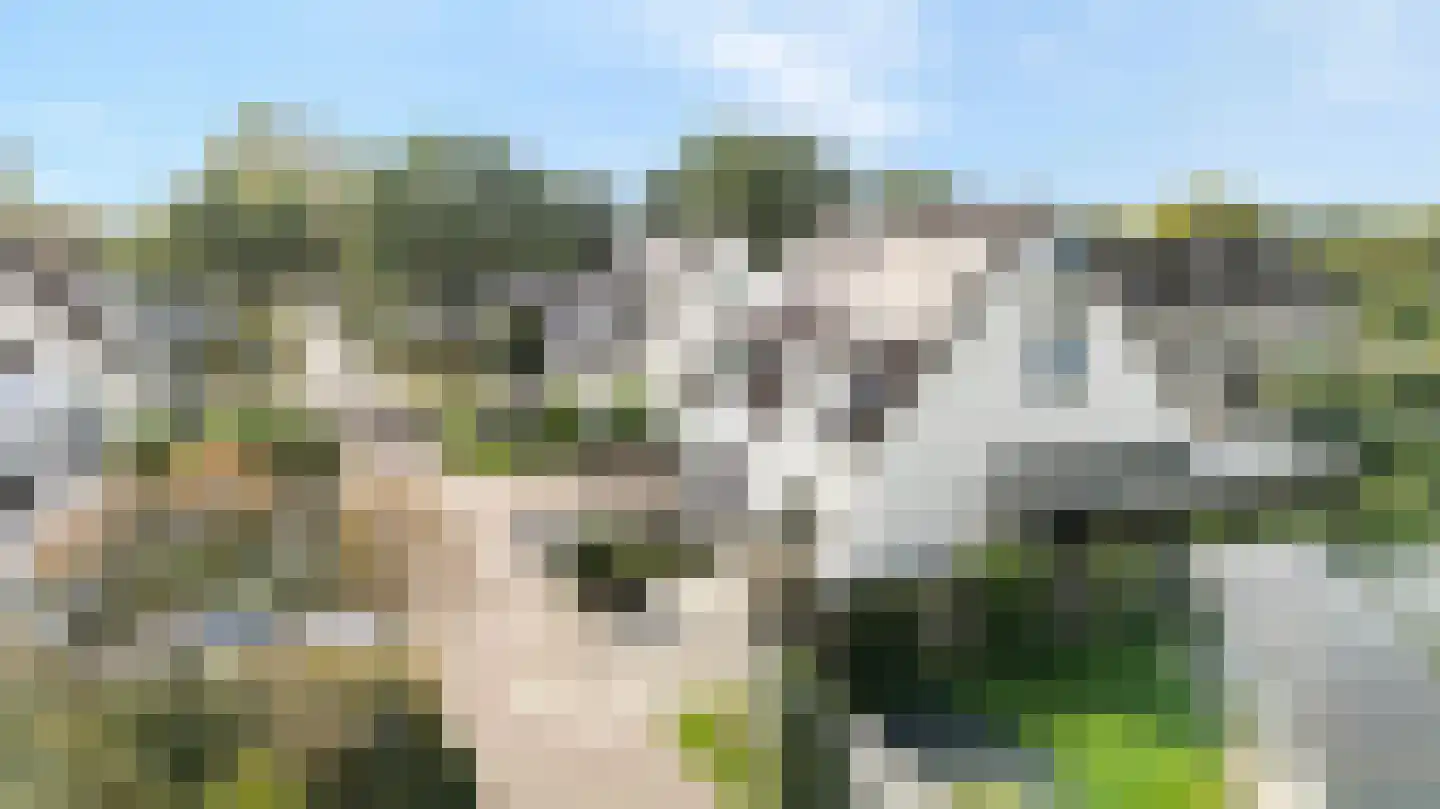 Westerbeek 7 Schoonebeek thumbnail 9