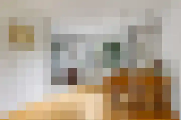 Westerbeek van Eertenweg 1 Hummelo thumbnail 13