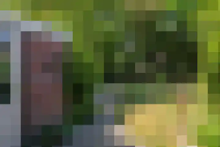 Westerbeek van Eertenweg 1 Hummelo thumbnail 20