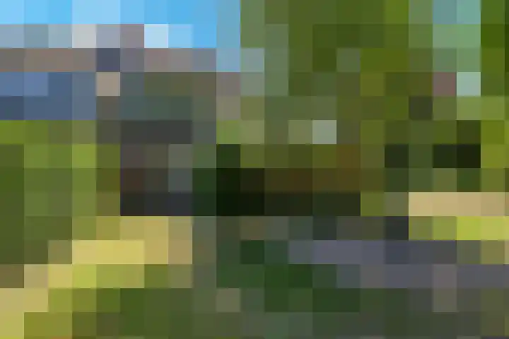 Westerbeek van Eertenweg 1 Hummelo thumbnail 21