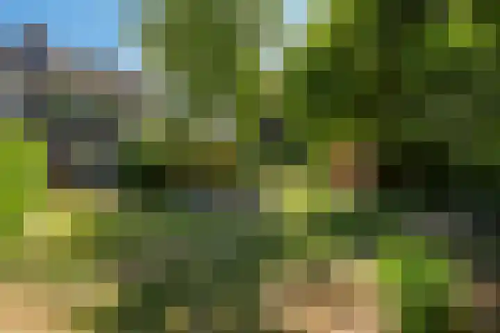 Westerbeek van Eertenweg 1 Hummelo thumbnail 22